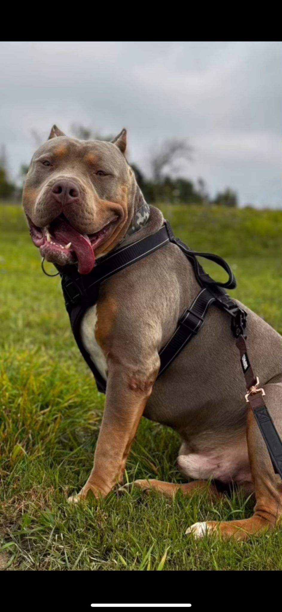 Tyson