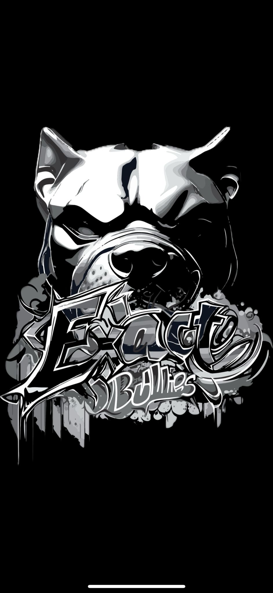 Exact Bullies Hero